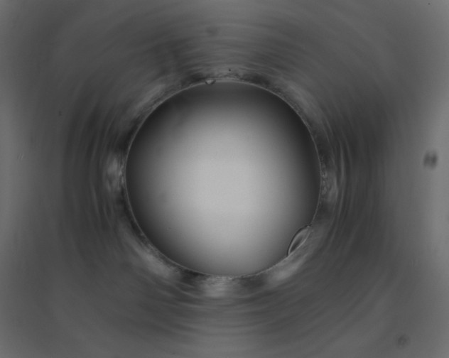 X0000094450142200711211526