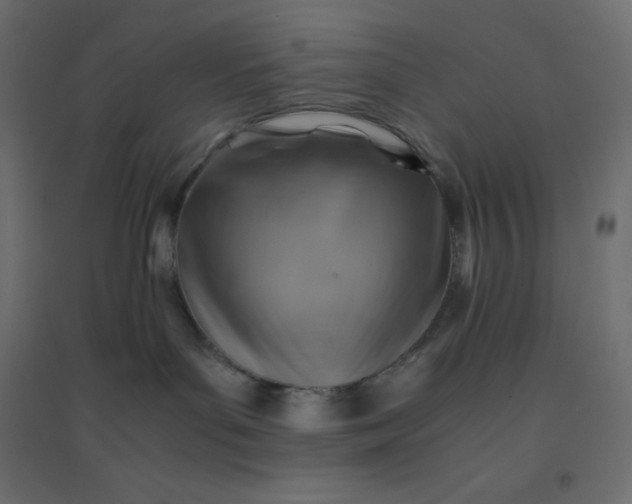 X0000094450143200711211526