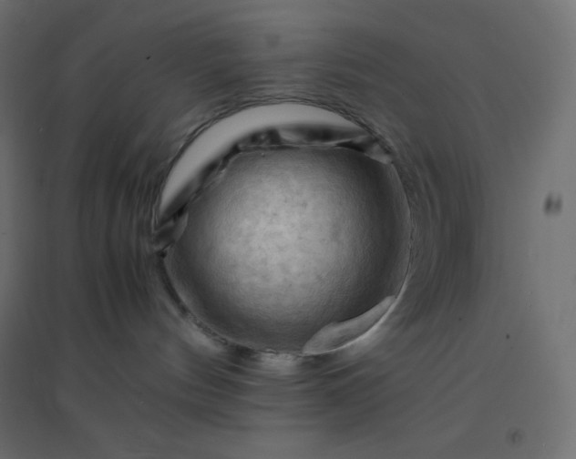 X0000094450144200711211526