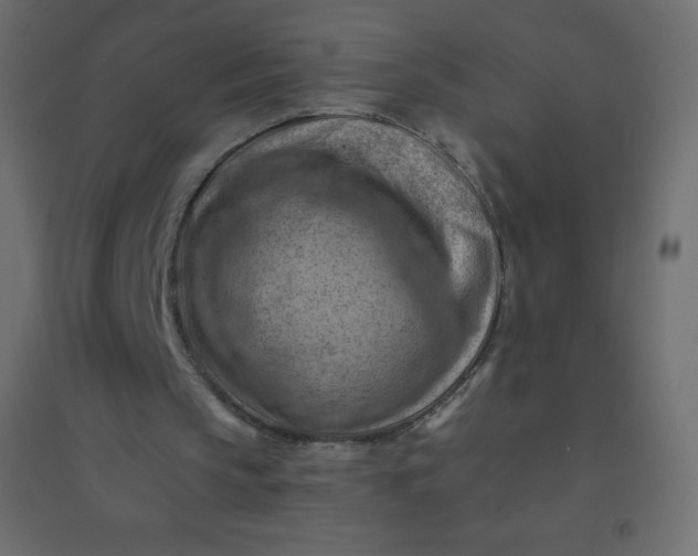 X0000094450145200711211526