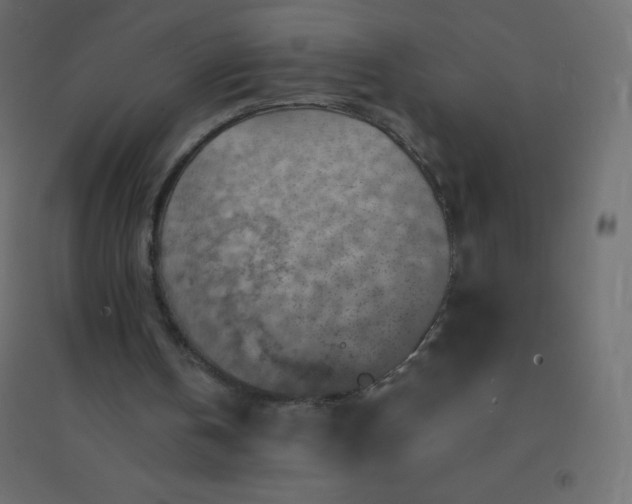 X0000094450146200711211526