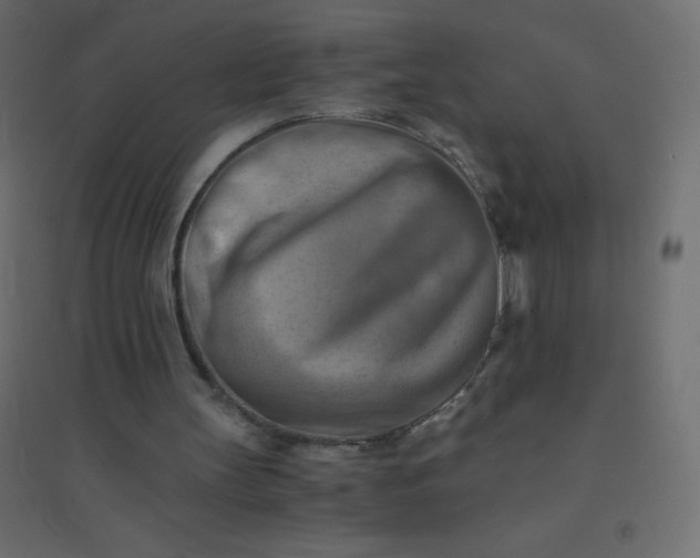 X0000094450147200711211526