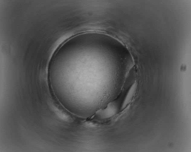 X0000094450148200711211526