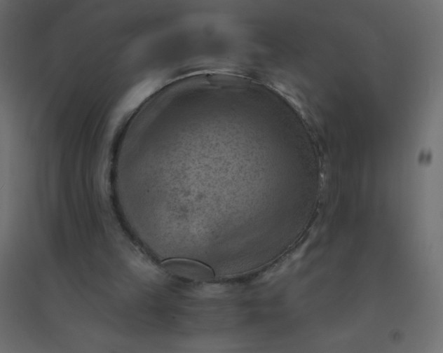 X0000094450149200711211526