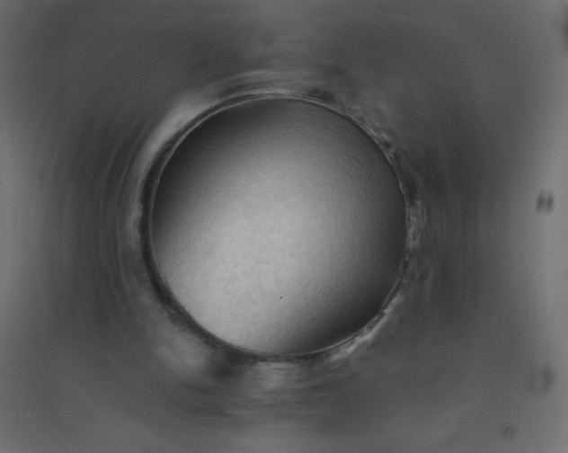 X0000094450150200711211526