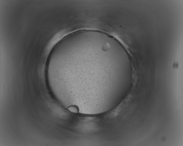 X0000094450151200711211526