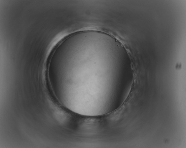 X0000094450152200711211526