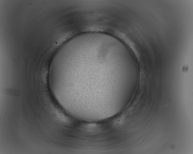 X0000094450153200711211526