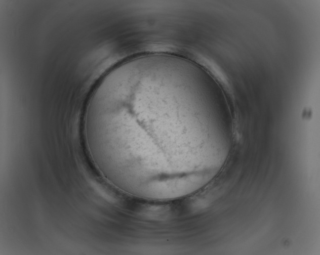 X0000094450155200711211526