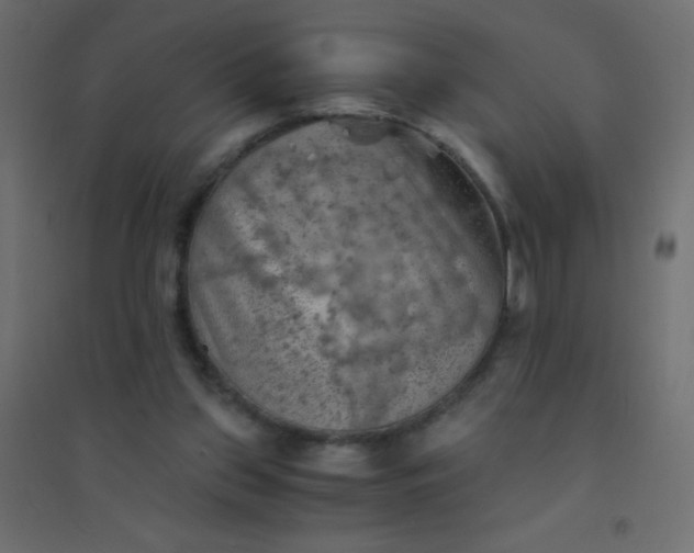 X0000094450157200711211526