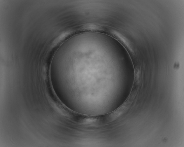 X0000094450158200711211526