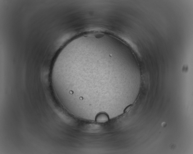 X0000094450159200711211526