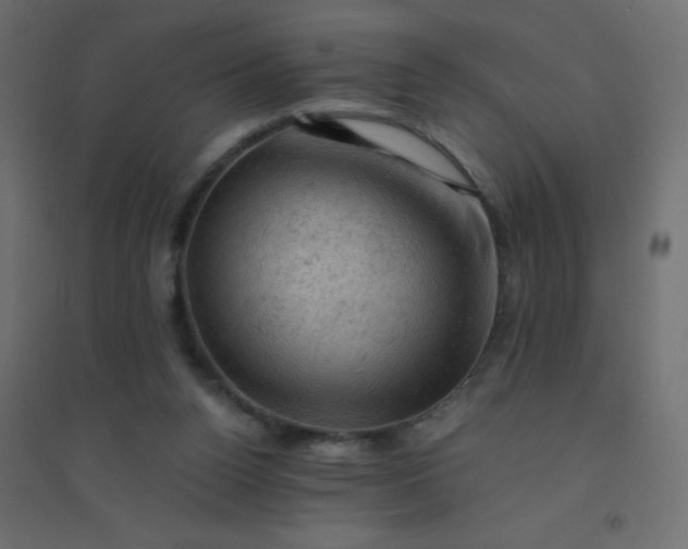 X0000094450160200711211526