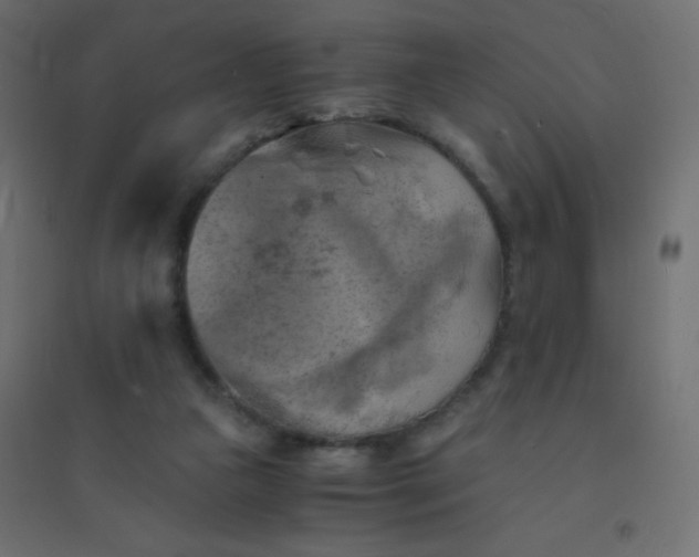 X0000094450161200711211526