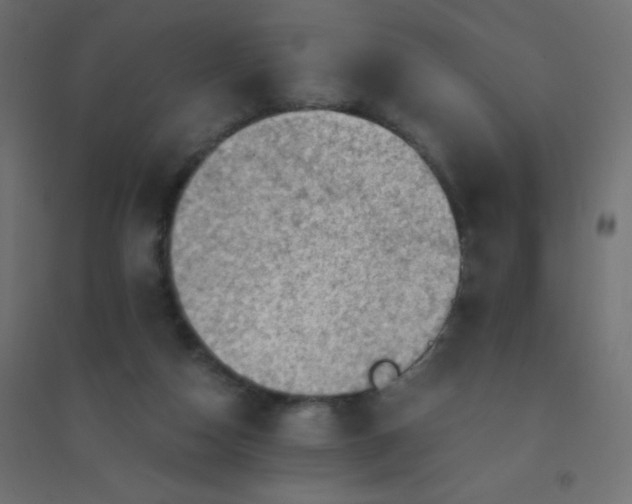 X0000094450162200711211526