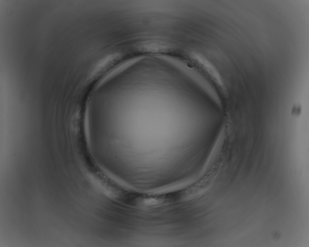 X0000094450163200711211526