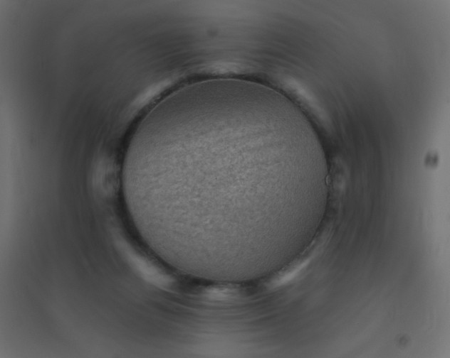 X0000094450164200711211526