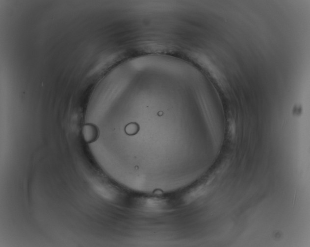 X0000094450165200711211526