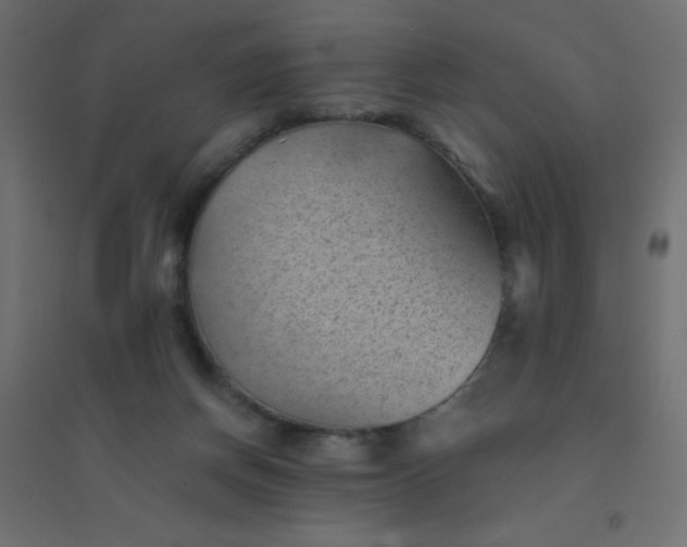 X0000094450166200711211526