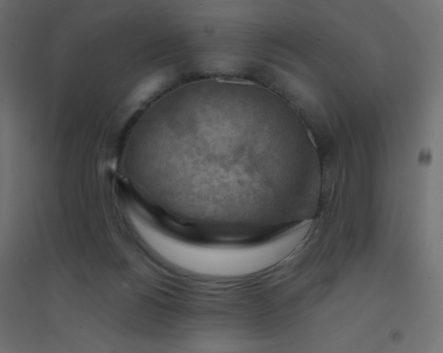 X0000094450168200711211526