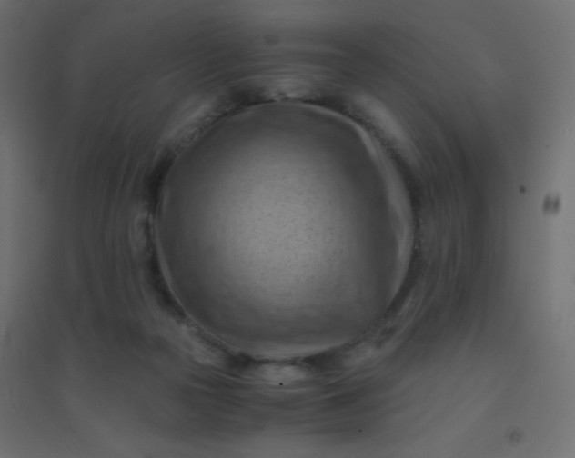 X0000094450169200711211526