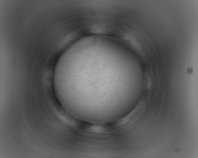 X0000094450171200711211526