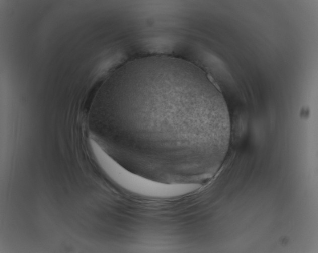 X0000094450172200711211526