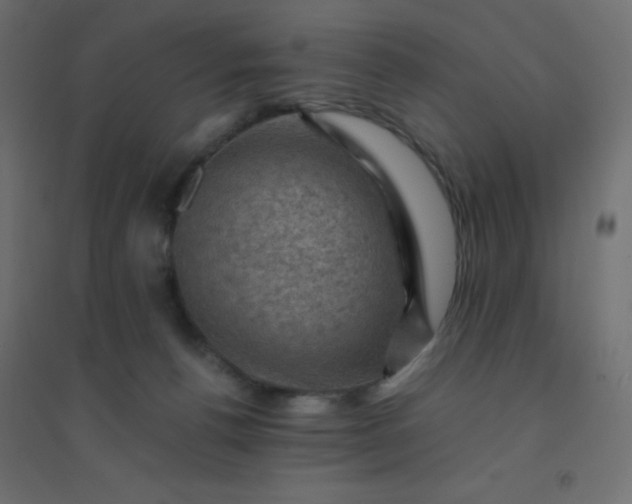 X0000094450176200711211526