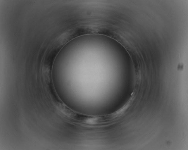 X0000094450178200711211526