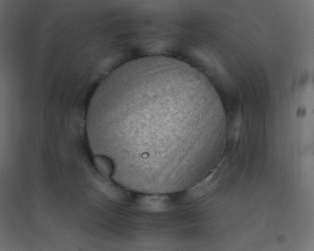 X0000094450179200711211526