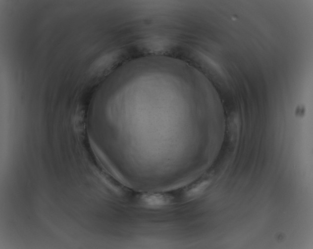 X0000094450181200711211526