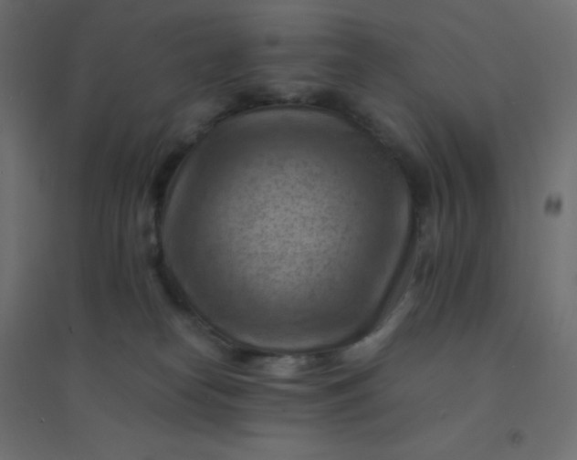 X0000094450182200711211526