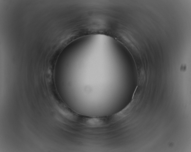 X0000094450183200711211526