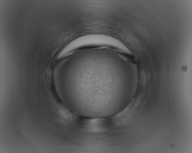 X0000094450184200711211526