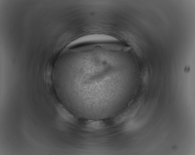 X0000094450185200711211526