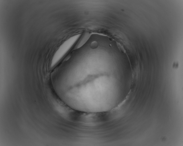 X0000094450186200711211526