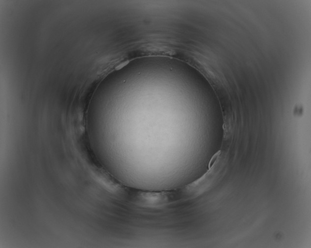 X0000094450187200711211526