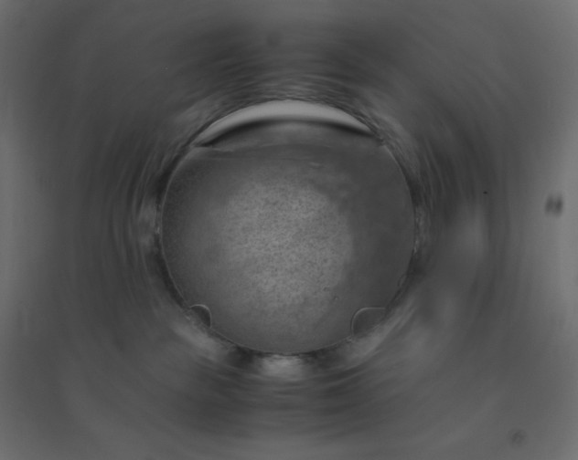 X0000094450189200711211526