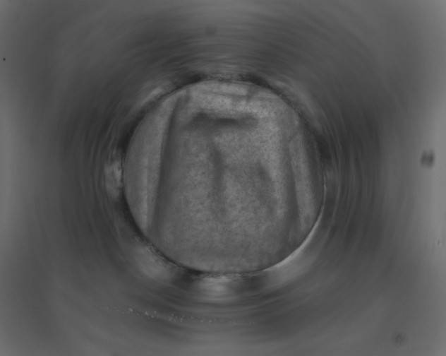 X0000094450190200711211526