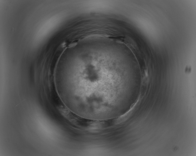 X0000094450191200711211526