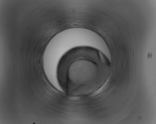 X0000094450192200711211526