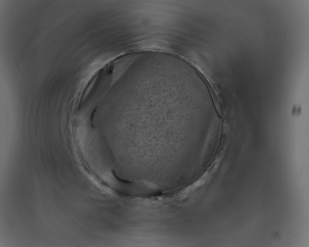 X0000094450193200711211526