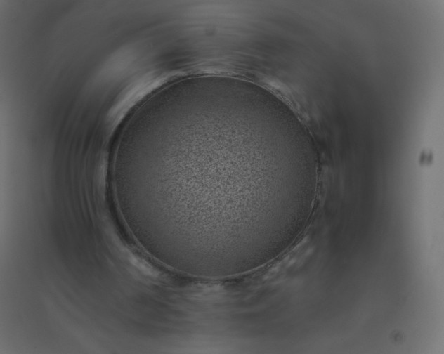 X0000094450194200711211526