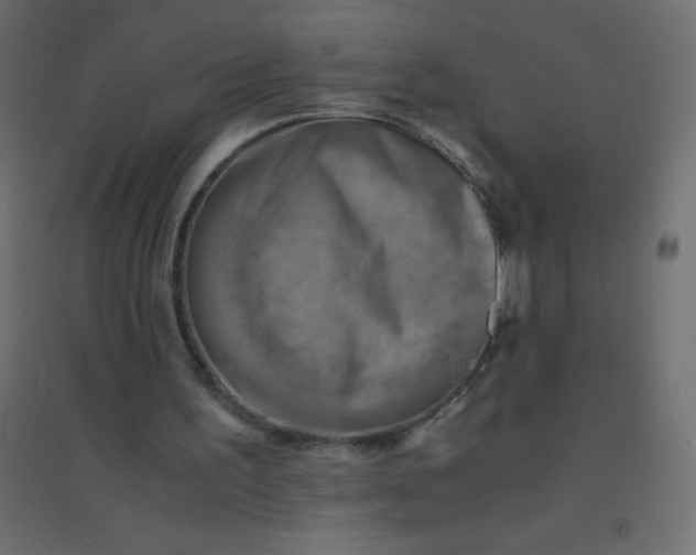 X0000094450195200711211526