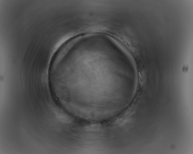 X0000094450196200711211526