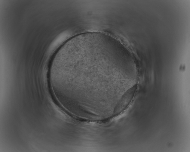 X0000094450197200711211526