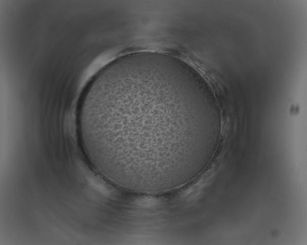 X0000094450198200711211526