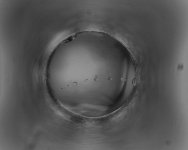 X0000094450199200711211526