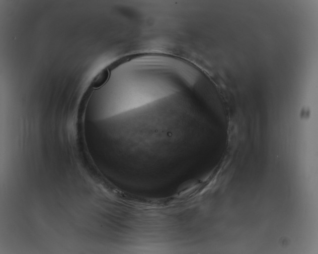 X0000094450200200711211526