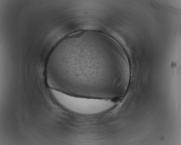 X0000094450201200711211526